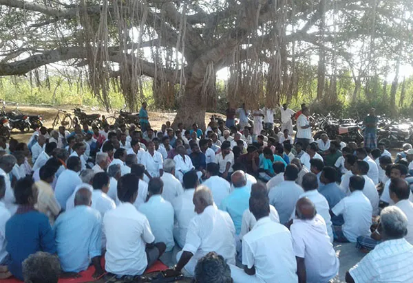 dmk mla1